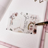 JAN26 | MINI SHEET CLEAR MATTE - MINI STICKERS