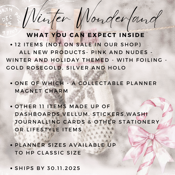 BOX PRESALE : WINTER WONDERLAND 2.0 | THEMED MYSTERY BOX