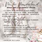 BOX PRESALE : PINK WINTER WONDERLAND THEMED MYSTERY BOX