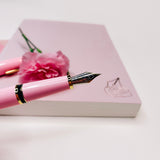 FOUNTAIN PEN | With pink case