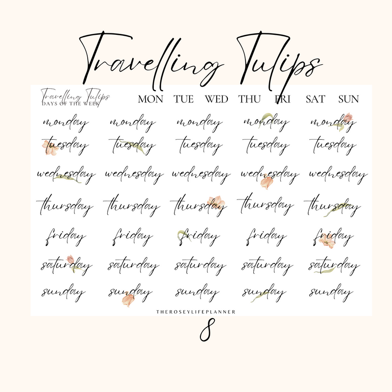 TRAVELING TULIPS COLLECTION | DECO STICKERS | Clear Matte