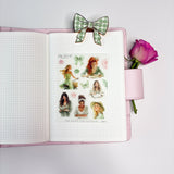 DECO STICKERS  | SHEET 21 | CLEAR  | JUN2026 COLLECTION