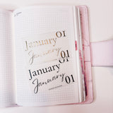 JAN26 | MINI SHEET CLEAR MATTE - SCRIPT STICKERS GOLD OR BLACK
