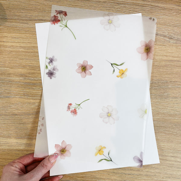 A4 DECO SHEET | VELLUM | MAR24 1