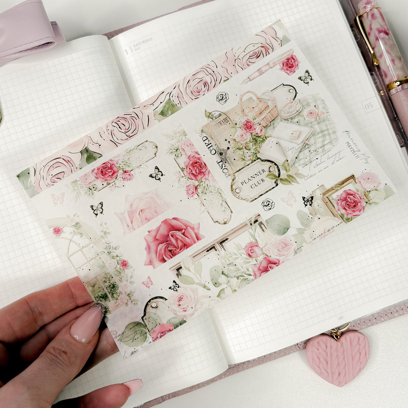 WASHI STICKERS  | SHEET 11 | CLEAR/ MATTE  | MAY25 COLLECTION
