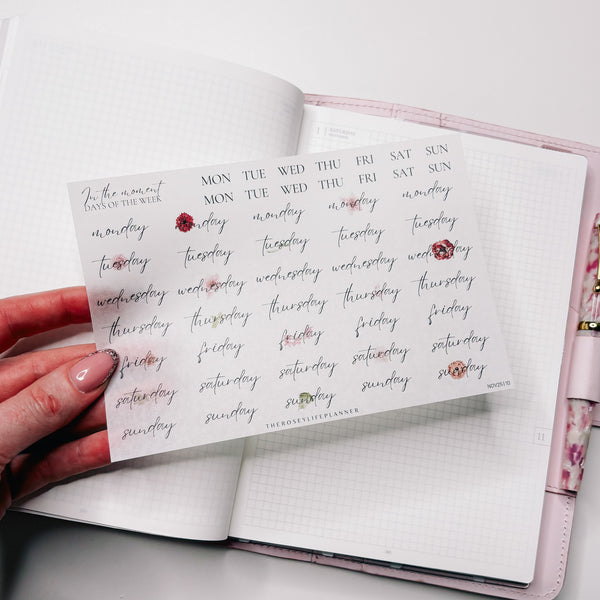 STICKERS | SHEET 10 | CLEAR | NOVEMBER 25 COLLECTION