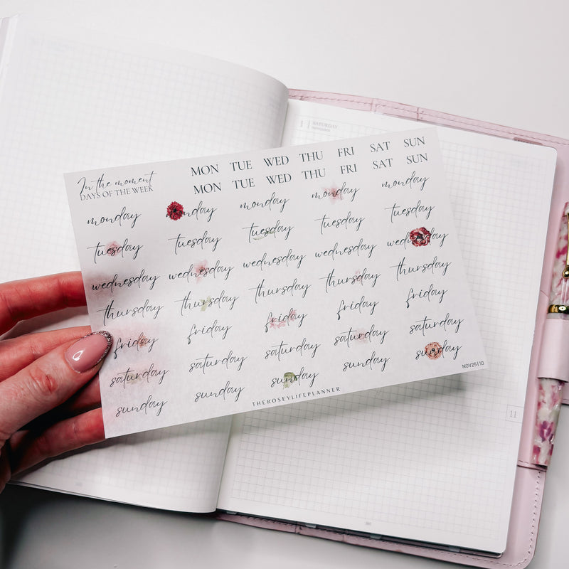 STICKERS | SHEET 10 | CLEAR | NOVEMBER 25 COLLECTION
