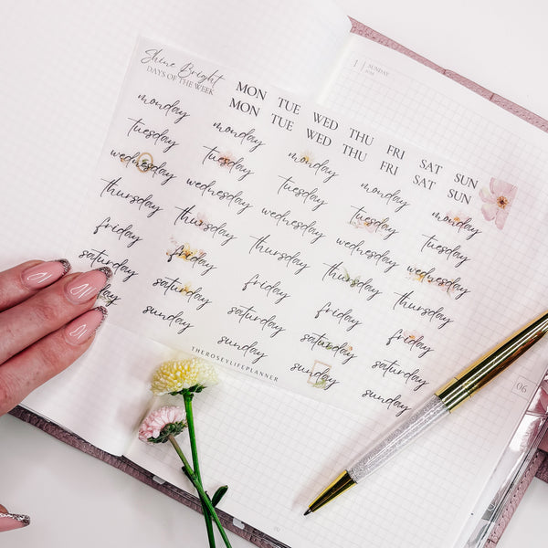 WASHI STICKERS  | SHEET 10 | CLEAR/ MATTE  | JUNE25 COLLECTION