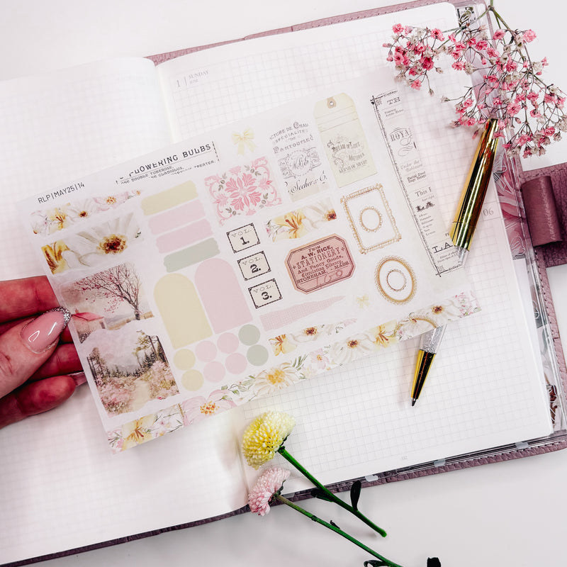 WASHI STICKERS  | SHEET 14 | CLEAR/ MATTE  | JUNE25 COLLECTION