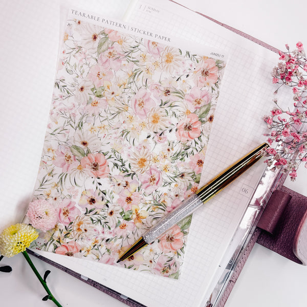 TEARABLE STICKER  | SHEET 17 | CLEAR/ MATTE  | JUNE25 COLLECTION