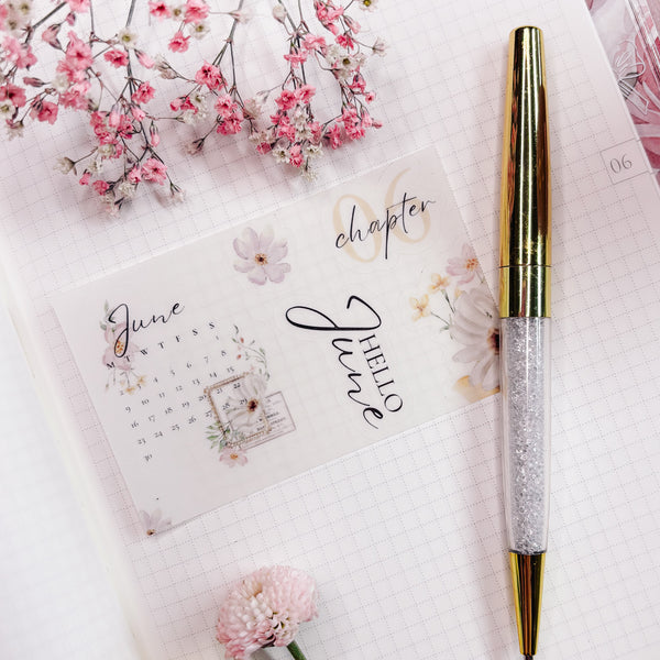 JUNE25 | MINI SHEET CLEAR MATTE - SCRIPT CALENDAR