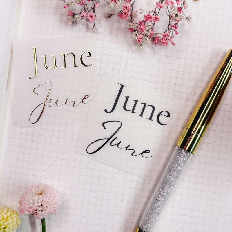 JUNE25 | 2 x MINI SHEET CLEAR MATTE -SCRIPT