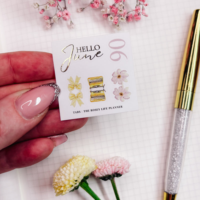 DIVIDER TABS |  MINI STICKER SHEET |  JUNE25 COLLECTION
