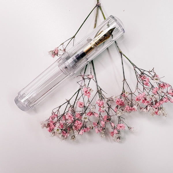 FOUNTAIN PEN | CLEAR  | EXTRA FINE NIB
