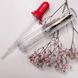FOUNTAIN PEN | CLEAR  | EXTRA FINE NIB