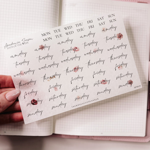 STICKERS | SHEET 10 | CLEAR | SEPTEMBER 25 COLLECTION