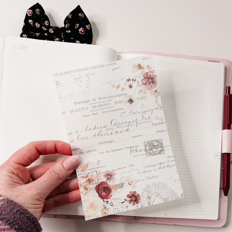 TEARABLE STICKER  | SHEET 17 | CLEAR  | SEPTEMBER 25 COLLECTION