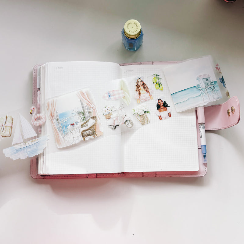 MEDITERRANEAN COLLECTION | PRECUT:  Pet Tape - 10cm x 5 meter roll