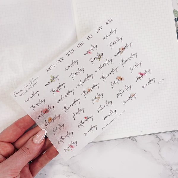 DATE STICKERS | CLEAR/ MATTE | SH10 SEP24