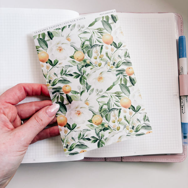 TEARABLE STICKER  | SHEETS 12-15 | CLEAR  | MEDITERRANEAN COLLECTION