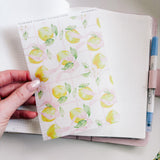 TEARABLE STICKER  | SHEETS 12-15 | CLEAR  | MEDITERRANEAN COLLECTION