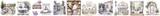 AUGUST 2025 | PRECUT:  Pet Tape - 10cm x 5 meter roll